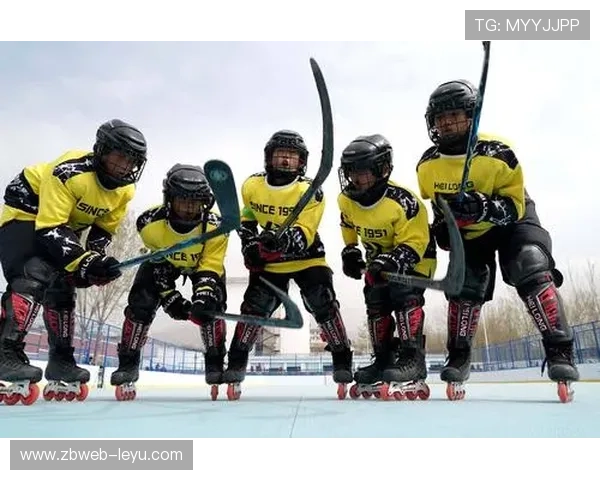 冰球俱乐部青训体系分析：打造未来明星的关键路径
